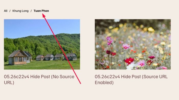 Summary Block Author Filter