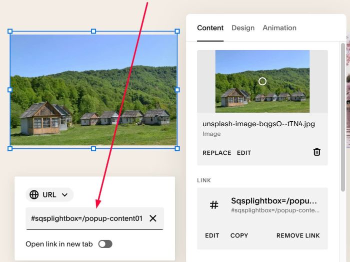 06.26c29v7 Hover Image Show Popup