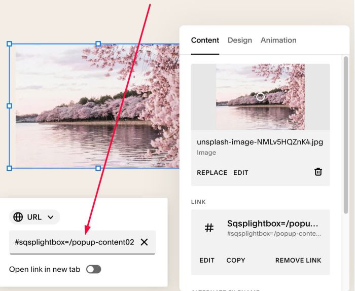06.26c29v7 Hover Image Show Popup