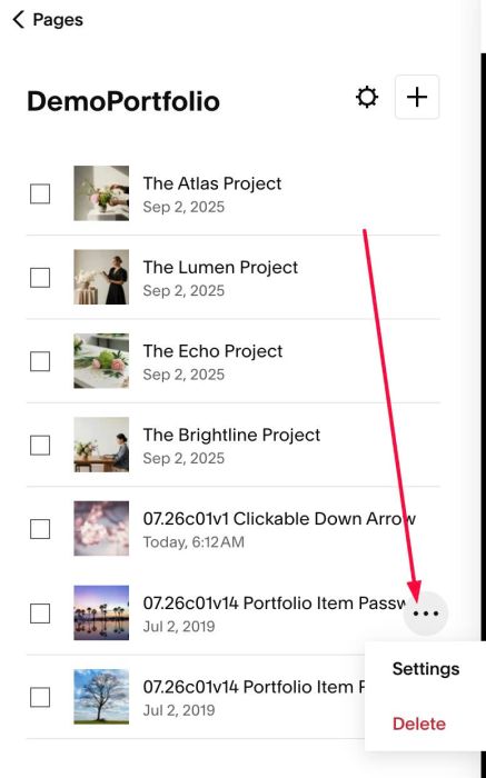 07.26c01v14 Portfolio Item Password