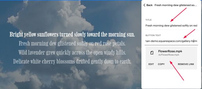 07.26c01v6 Hover Links Change Video Background
