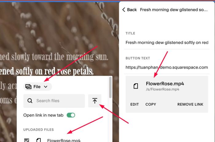 07.26c01v6 Hover Links Change Video Background