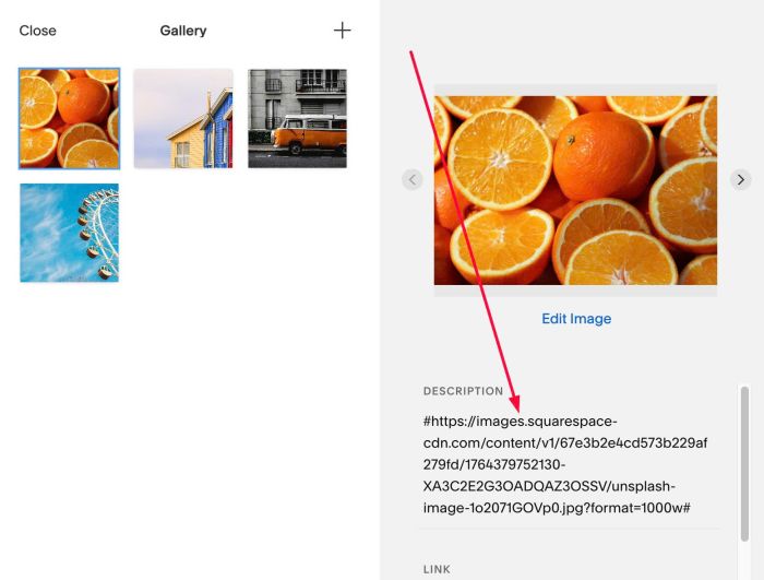 07.26c04v2 Slideshow Thumbnails to Custom Image