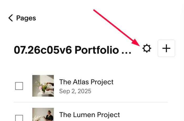 07.26c05v6 Portfolio Brief Hover