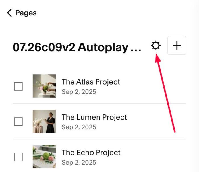 07.26c09v2 Autoplay Portfolio background images