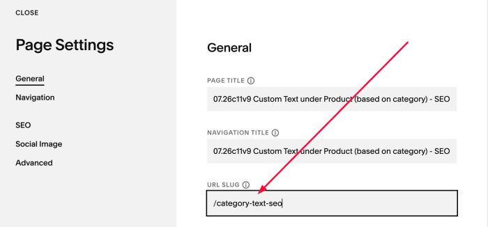 07.26c11v9 Custom Text under Product (based on category)