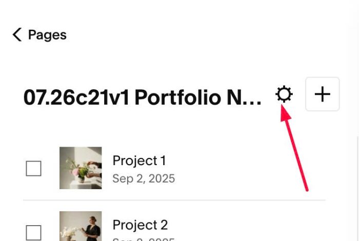 07.26c21v1 Portfolio Naughty Carousel