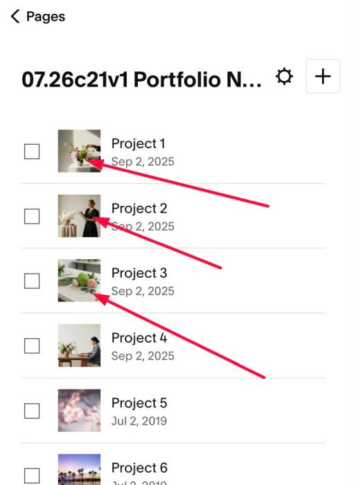 07.26c21v1 Portfolio Naughty Carousel