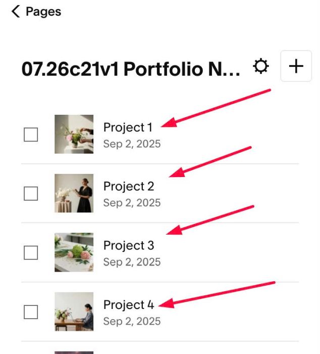 07.26c21v1 Portfolio Naughty Carousel