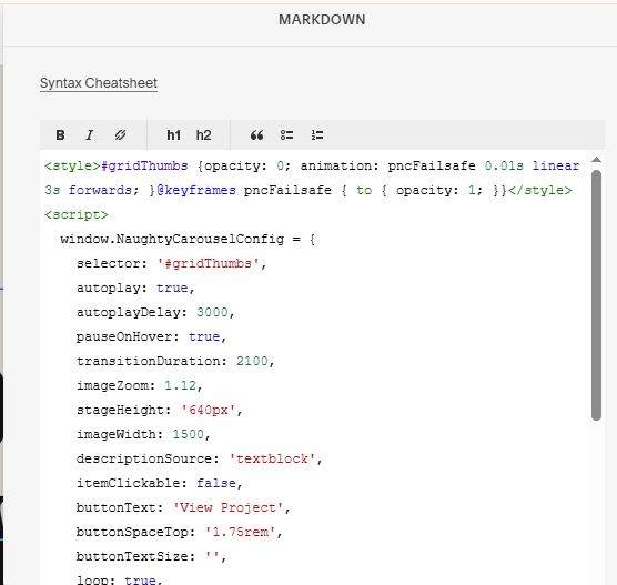 07.26c21v1 Portfolio Naughty Carousel