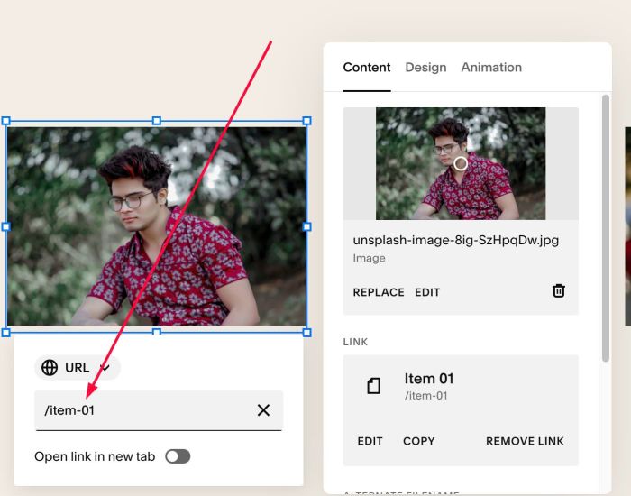 Tooltip on Image Hover