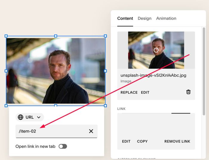 Tooltip on Image Hover