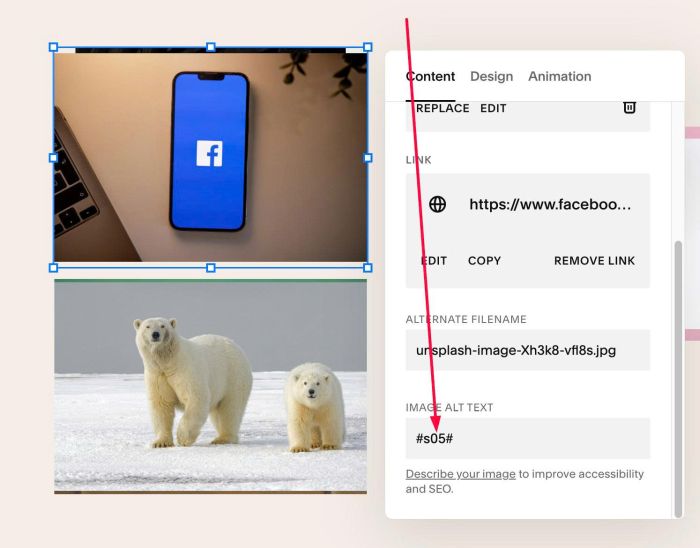 05.26c16v4(v4) Hover Text Show Image v4