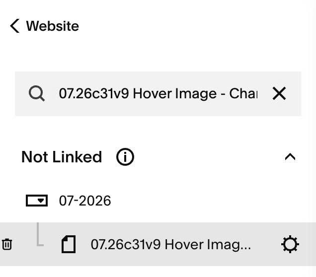 07.26c31v9 Hover Image Change Video
