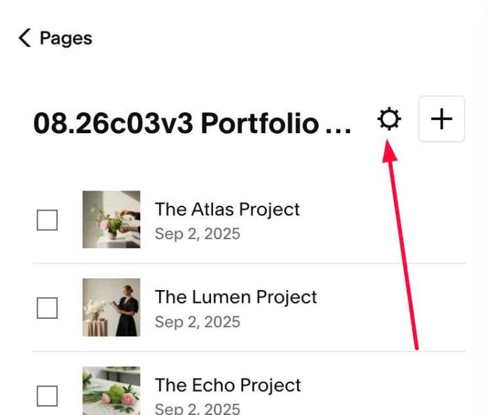 08.26c03v3 Portfolio Thumbnail Carousel