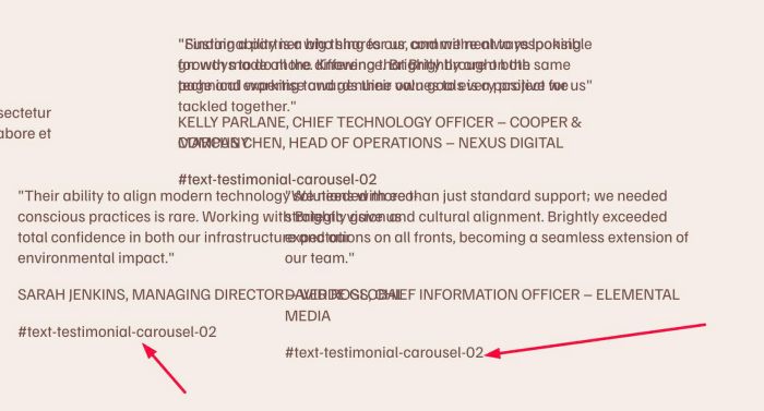 08.26c07v6 Text Testimonial Carousel 02