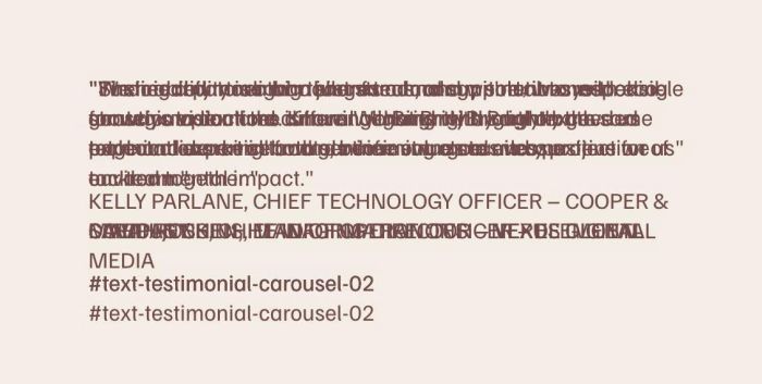 08.26c07v6 Text Testimonial Carousel 02