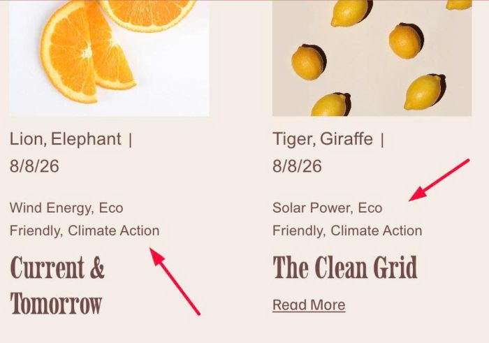 08.26c08v2 Tags on Blog Overview Page