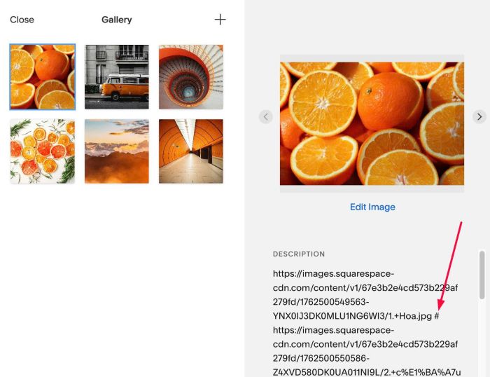 08.26c11v1 Slideshow inside Gallery