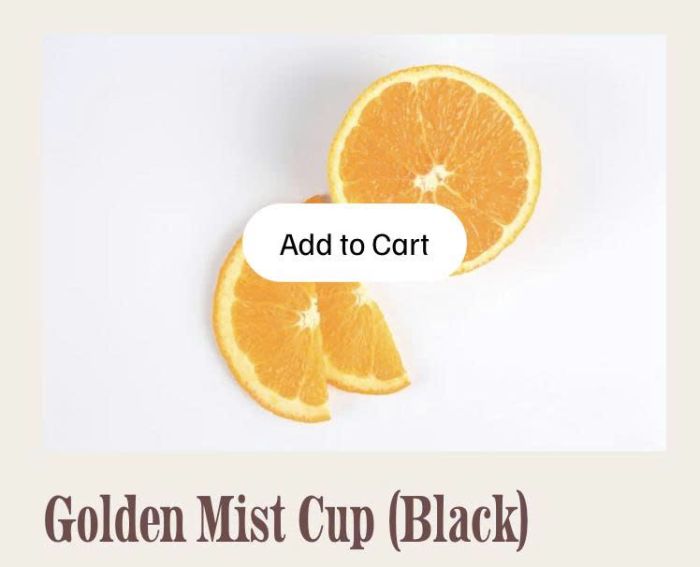 08.26c14v1 Click Image Block Add product to Cart