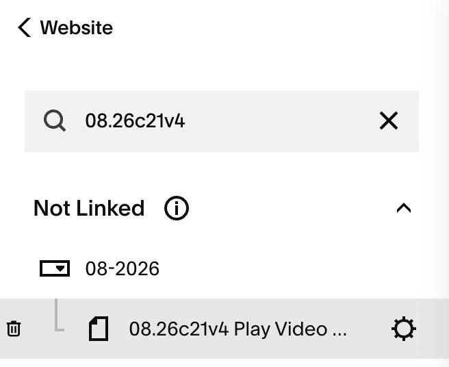 08.26c21v4 Play Video on Scroll into View