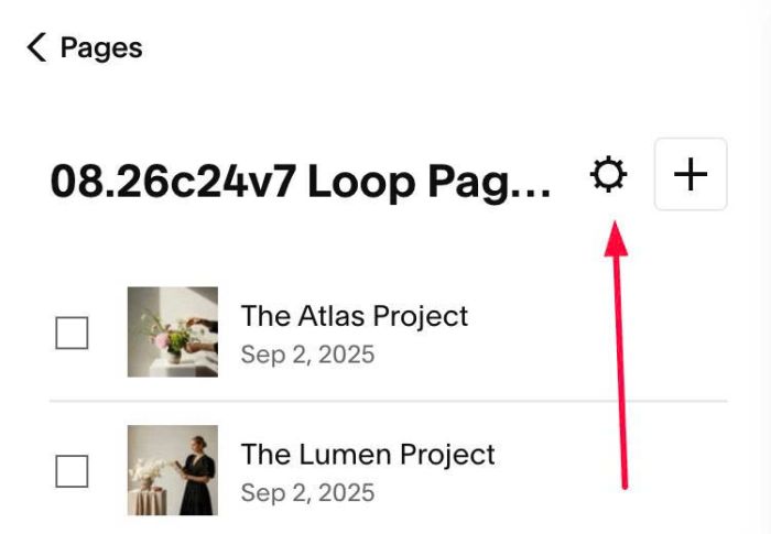 08.26c24v7 Loop Pagination