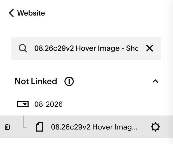 08.26c29v2 Hover Image Show Text
