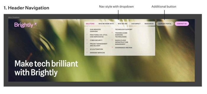 Brightly website