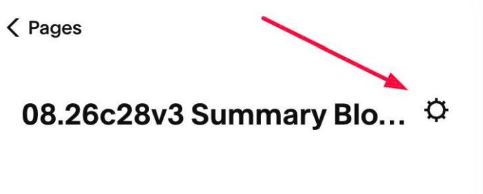 08.26c28v3 Summary Block Logo Info Filter
