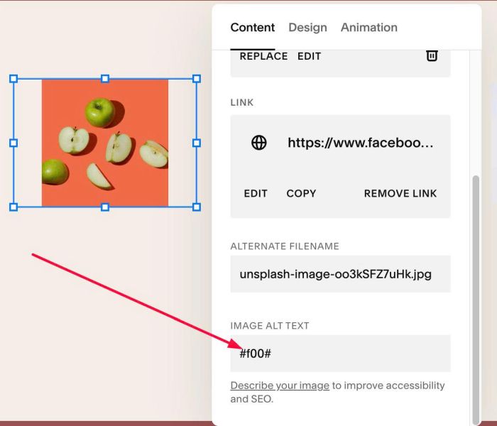 08.26c29v3 Hover Image Change Section Color