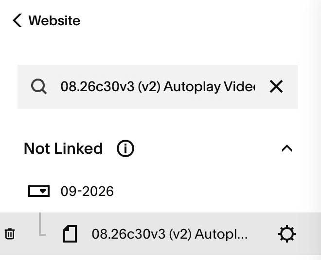 08.26c30v3 (v2) Autoplay Video (Gallery Block)