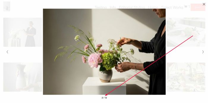 09.26c07v3 Lightbox Image Count Number