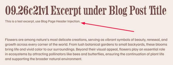 09.26c21v1 Excerpt under Blog Post Title