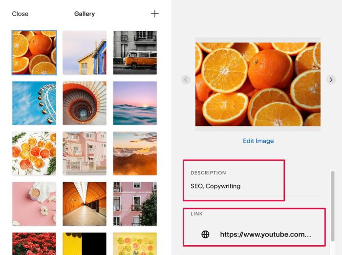 10.26c05v10 Video Gallery (Filter Lightbox)