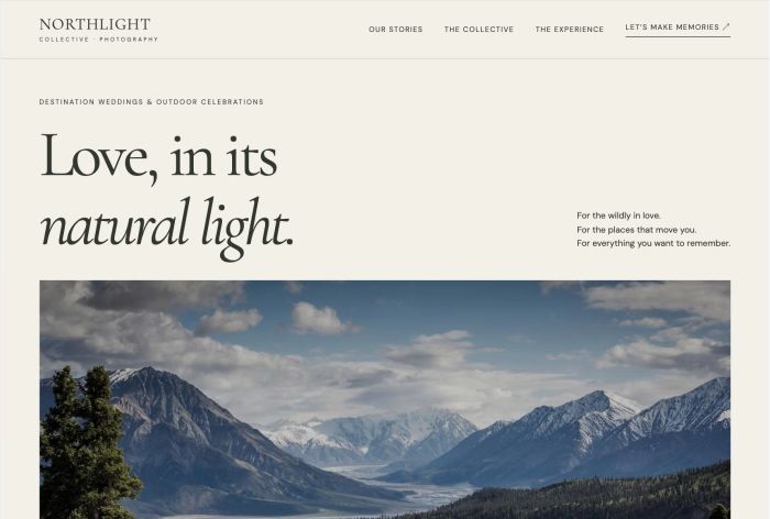 2. Northlight Collective